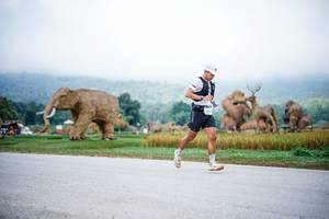 BIB: 
                            <button type="button" onclick="openModal(22401700)" class="btn btn-primary btn-sm float-right btn-popup" data-toggle="modal" data-target=".modal-high-quality">
                        <i class="fas fa-shopping-cart"></i> Add to Cart
                    </button>
                                            <button type="button" onclick="isThisMe(22401700, true)" class="btn btn-success btn-sm float-right btn-popup btn-isme hidden" data-toggle="tooltip" data-placement="bottom" title="นี่คือรูปของคุณใช่ไหม คลิกที่นี่เพื่อเอาเข้าอัลบั้ม">
                        <i class="fas fa-plus"></i> Add to album
                    </button>
                    <button type="button" onclick="isThisMe(22401700, false)" class="btn btn-warning btn-sm float-right btn-popup btn-isnotme hidden">
                        <i class="fas fa-ban"></i> Remove from album
                    </button>